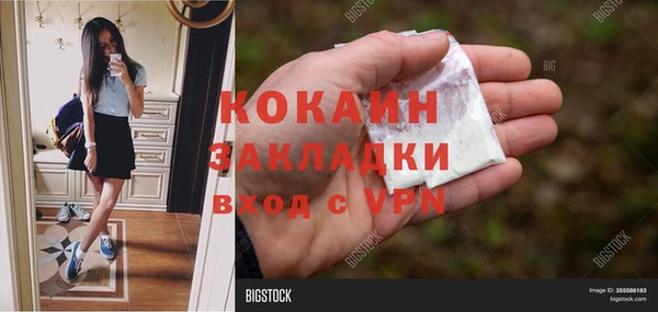 ПСИЛОЦИБИНОВЫЕ ГРИБЫ Кулебаки