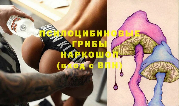 ECSTASY Лиски