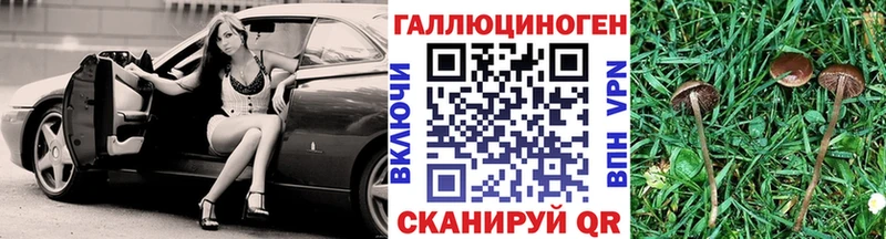 Псилоцибиновые грибы мицелий  KRAKEN зеркало  Мелеуз 
